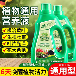 德国鲜花营养液植物通用型室内盆栽发财树绿萝花卉多肉富贵竹