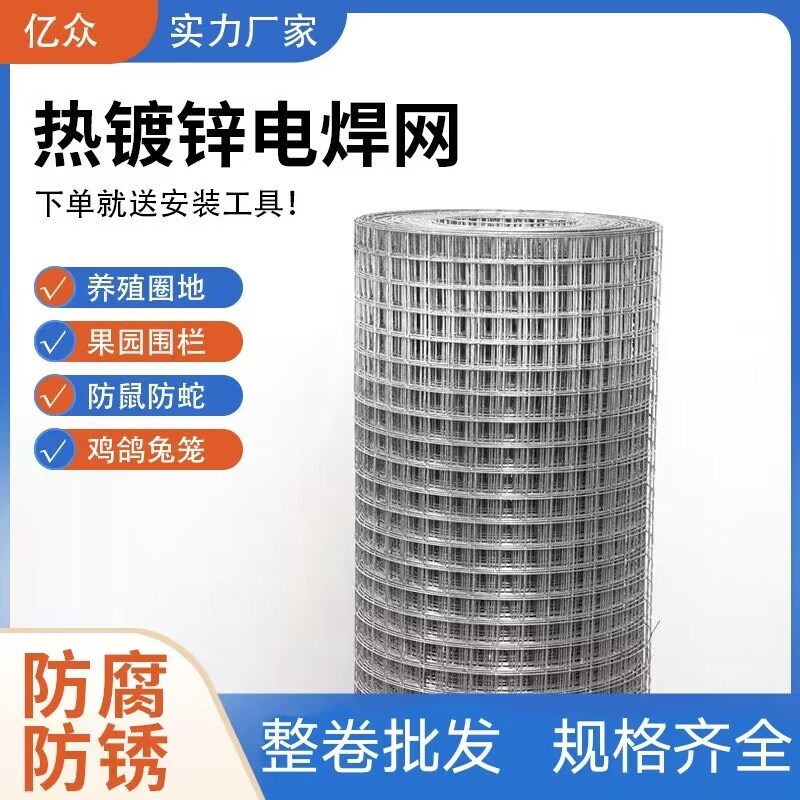 热镀锌铁丝网围栏网养殖养鸡网护栏网小孔鼠网铁网格网户外
