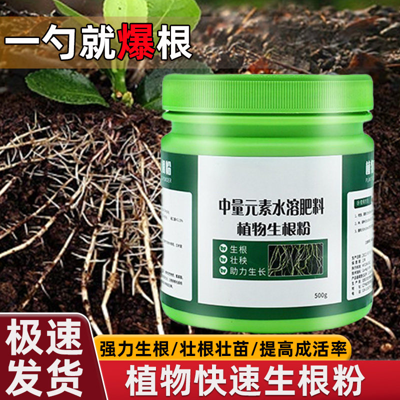 强力生根壮苗植物通用快递生根剂插杆溶肥植物移栽发根剂液
