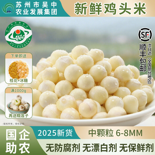 【国企助农】苏州特产鸡头米2025精品中颗粒芡实伴手礼盒产地直发