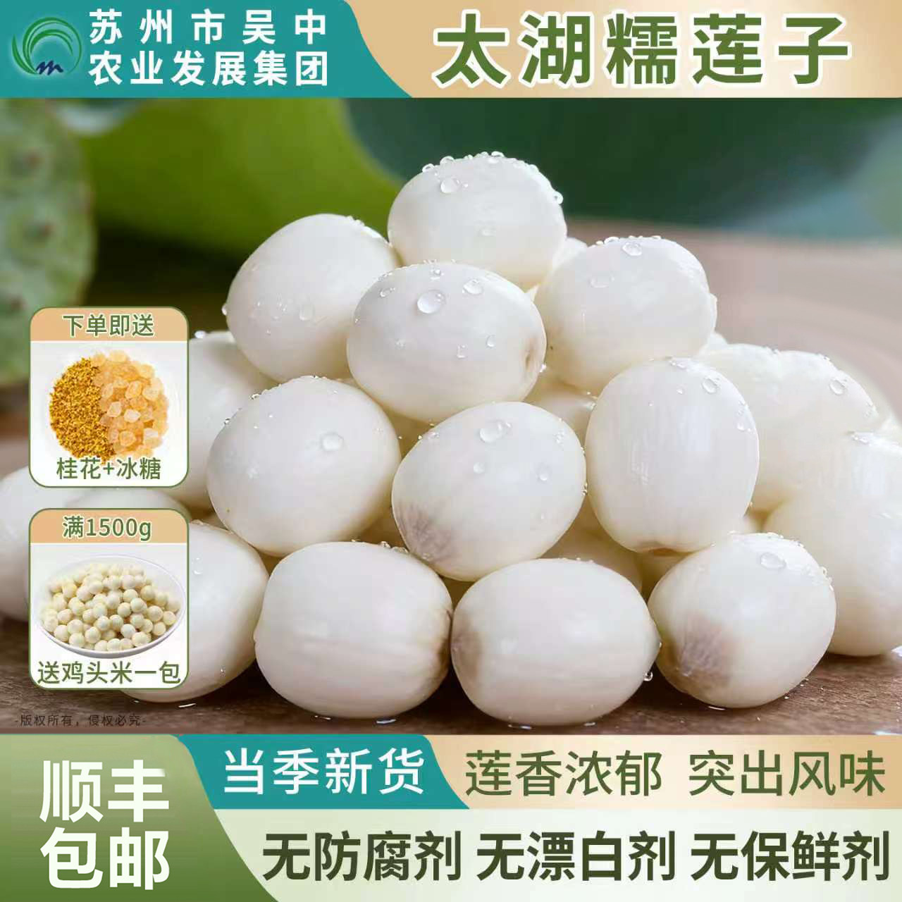 【太湖糯莲子】当季莲蓬子去芯2026新鲜现采摘纯手剥顺丰包邮