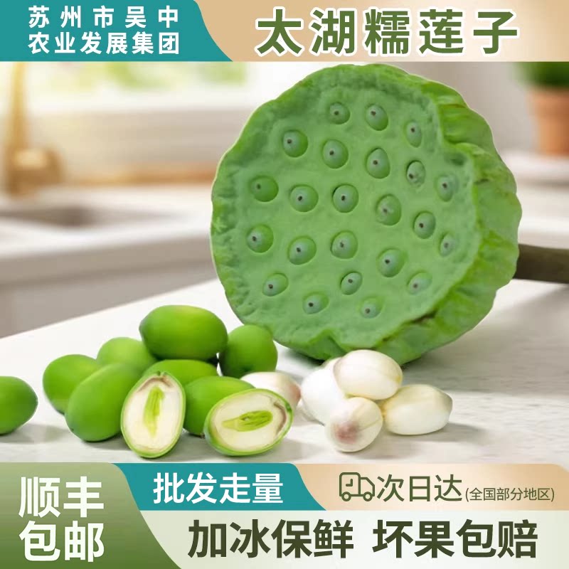 苏州太湖糯莲子去芯2026新鲜采摘冷冻保鲜顺丰包邮