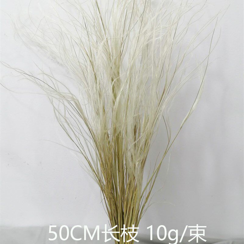 长枝仙女草干花包羽毛草花束清新天然插花材