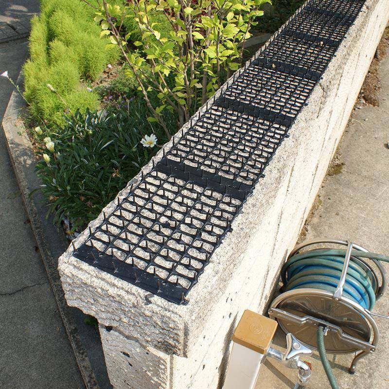 防猫爬刺垫驱猫神器防止猫踩踏花园刺垫网防爬床沙发跳车刺钉猫垫,基础建材,其它,淘宝优惠券,粉丝福利购,淘宝优惠卷