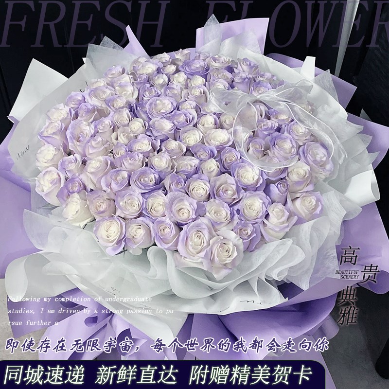 鲜花小时达52/99/1p99/999朵玫瑰薄雾紫花束速递同城生日全国配送