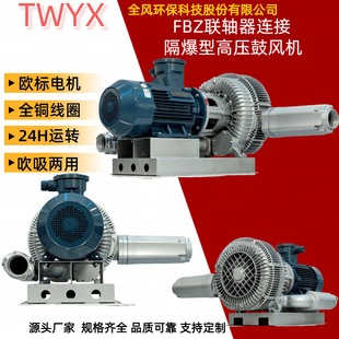 隔爆型高压风机12.5kw吹吸两用TWYX全风环保科技 1拖泵式 FBZ 92S
