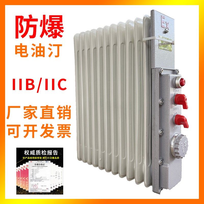 BYT-2.0KW移动式防爆电暖器9片11片13片15片密闭壁挂防爆电热油汀