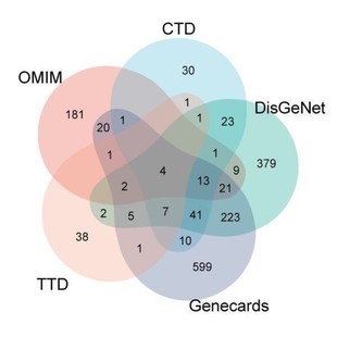 网药代做 网络药理学 PPI网络图 GO KEGG富集分析气泡图