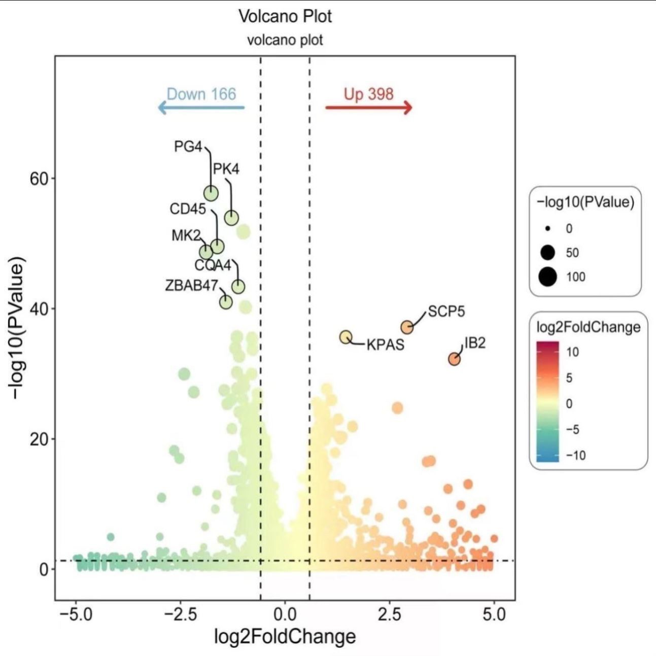 m6A/m5C/m7G - seq 数据生信分析表观遗传甲基化修饰