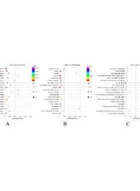WGCNA模块基因分析  生信SCI TCGA/GEO数据库挖掘 医学科研服务