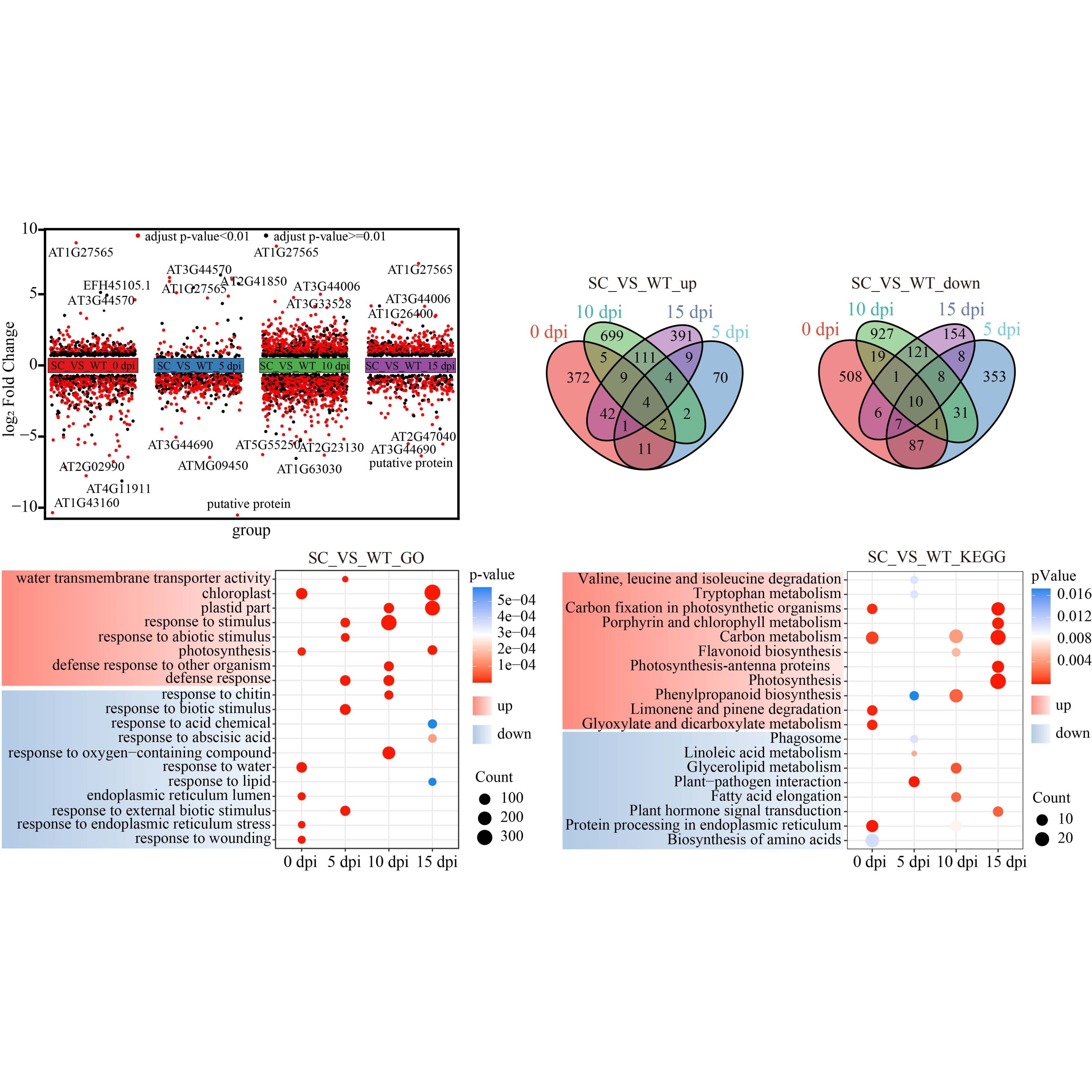 生信分析全程专业服务单细胞测序空间转录组蛋白组学服务