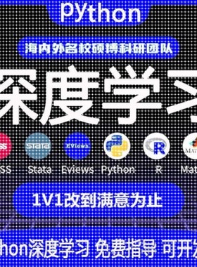 python深度学习机器优化算法代做跑编程服务代码覆现指导编写接单