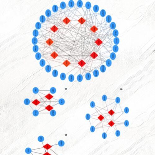 中医药网络药理学代做 网药 TCMSP GO/KEGG cytoscape 分子对接