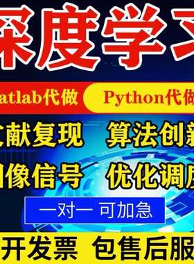 matlab代码帮做程序代编python代做算法复现深度机器学习电气仿真