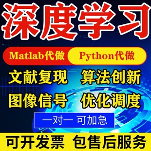matlab代码帮做程序代编python代做算法复现深度机器学习电气仿真
