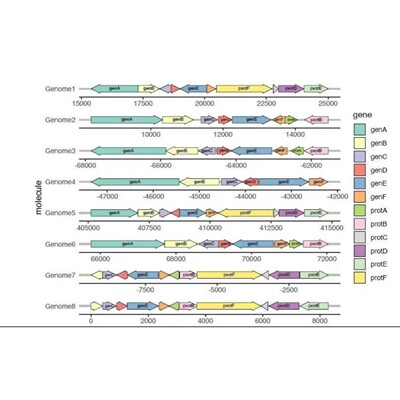 生信数据挖掘个性化预后模型代谢基因免疫标志物