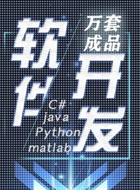计算机设计软件工程系统开发代做java代码小程序python项目定制c#