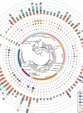 Ingenuity Pathway Analysis IPA数据库生信分析基因表达服务