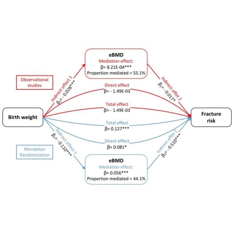 生信分析服务TCGA GEO挖掘单细胞测序自测数据个性化分析生信医学