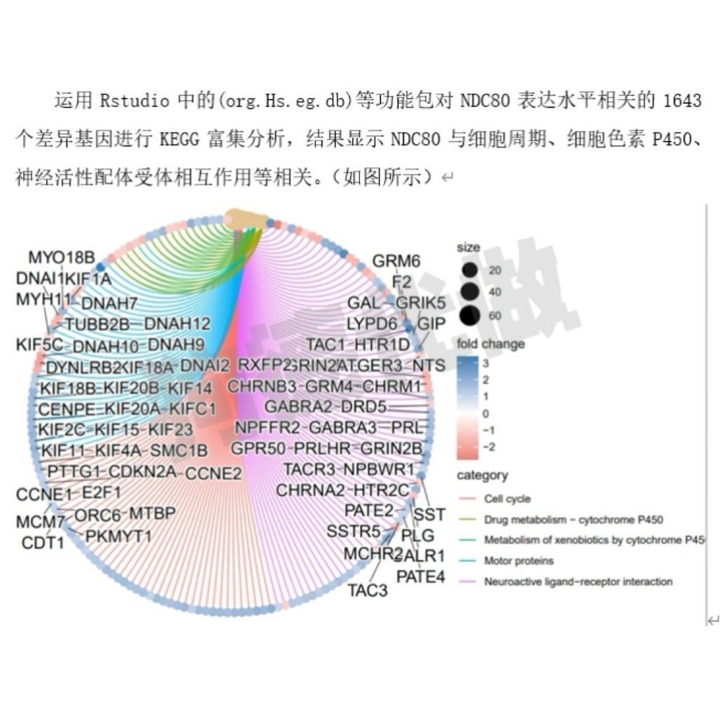cytoscape作图GO KEGG富集PPI网络生信分析