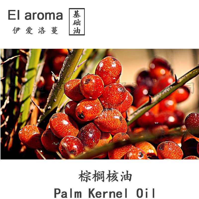 马来西亚棕榈核仁油棕榈仁油基础油手工皂用油原料 按摩护肤美容