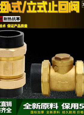 PE黄铜止回阀4/6分1寸卧式立式止阀内外丝水管道单向阀DN40/50/63