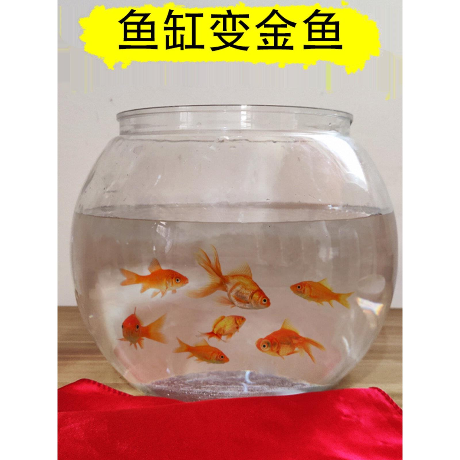 空缸变金鱼古彩戏法儿童学生舞台魔术道具满缸鱼年年有鱼晚会直播