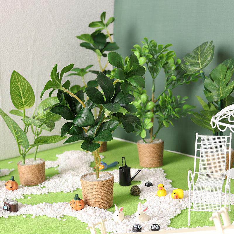 里左拉 微缩食玩六分植物盆栽龟背叶bjd娃娃屋dollhouse袖珍摆件