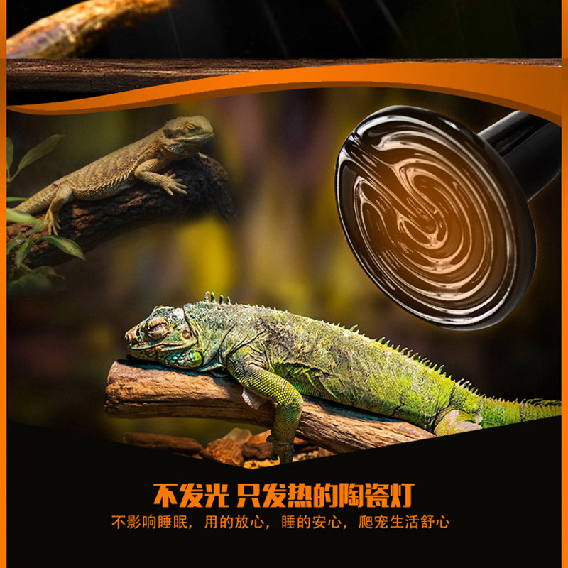 爬宠箱陶瓷灯加热灯泡宠物爬虫乌龟蜥蜴陆龟保温保暖红外加温温控,宠物/宠物食品及用品,爬宠缸/箱,淘宝优惠券,粉丝福利购,淘宝优惠卷
