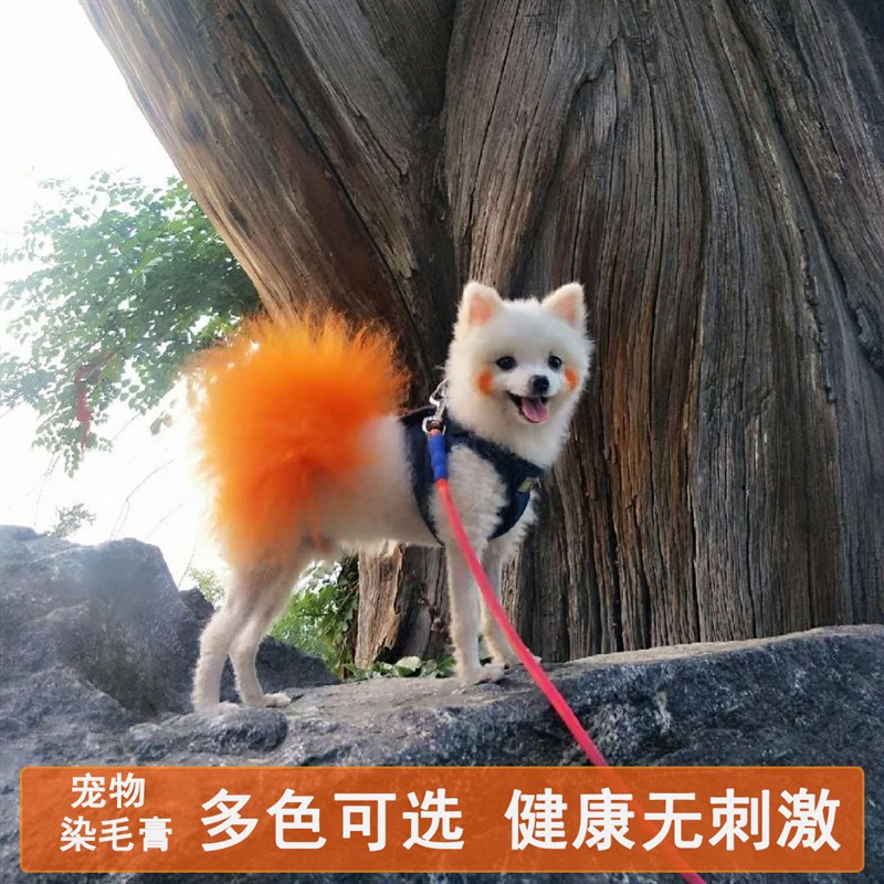 猫狗宠物染色剂狗狗染色剂染毛膏器网红比熊博美萨摩耶猫咪染发膏