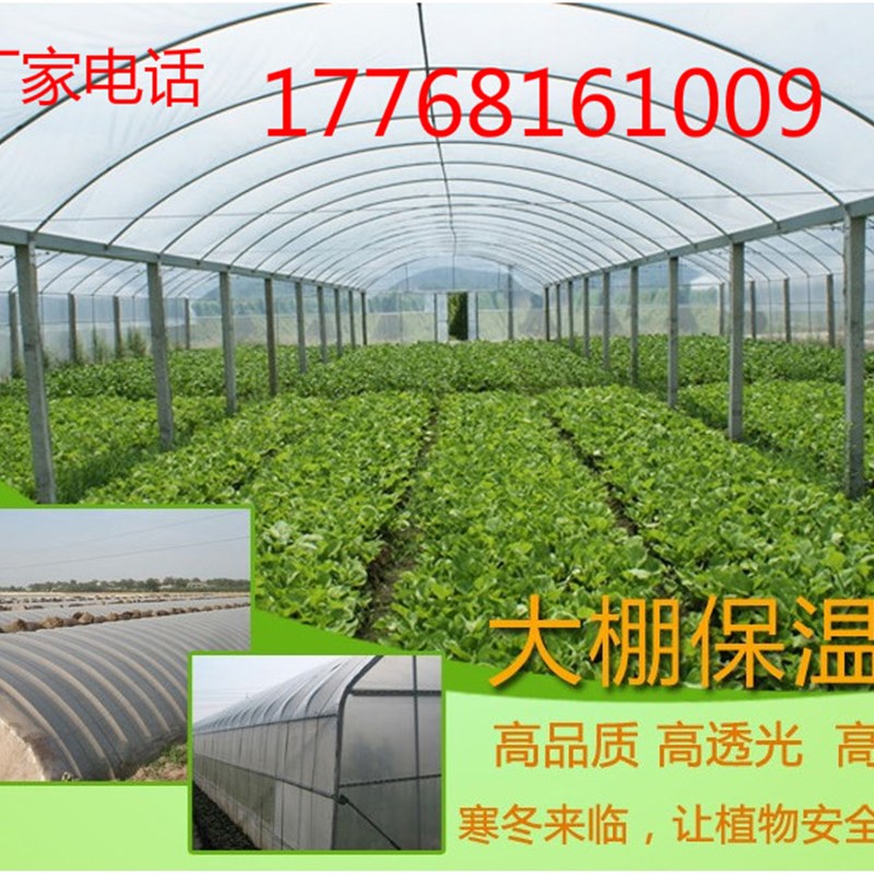 EVA农用多功能加厚塑料大棚膜无滴薄膜蔬菜保温长寿流滴膜蓝色