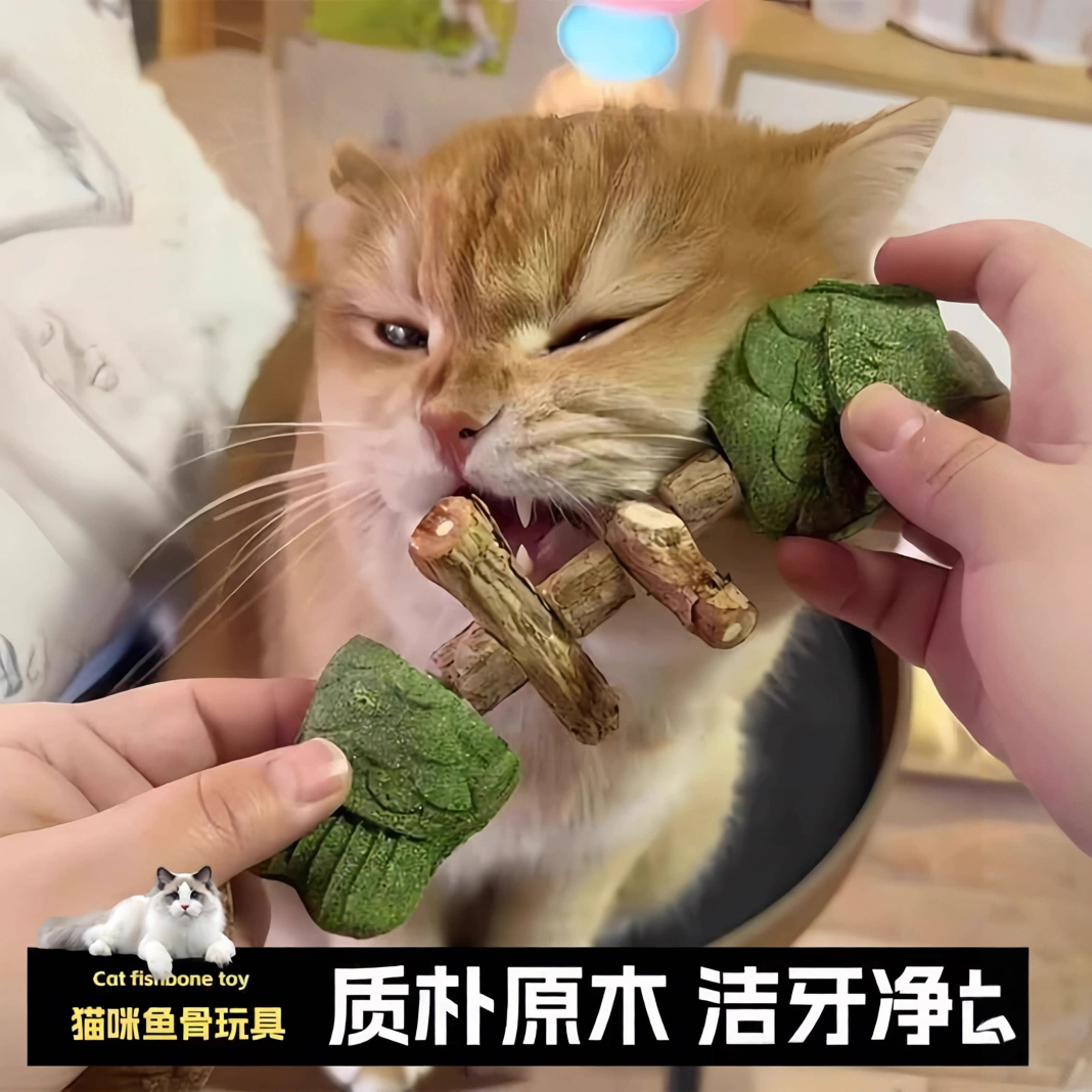 猫薄荷耐咬自嗨逗猫棒