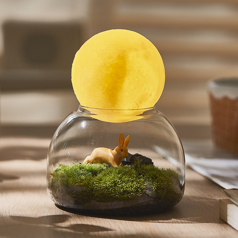苔藓生态瓶微景观草坪盆栽办公室内桌面好养创意礼品微缩摆件绿植
