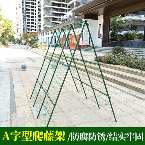 爬藤架黄瓜豆角支架杆西红柿丝瓜果蔬阳台种菜架庭院花架A型架子