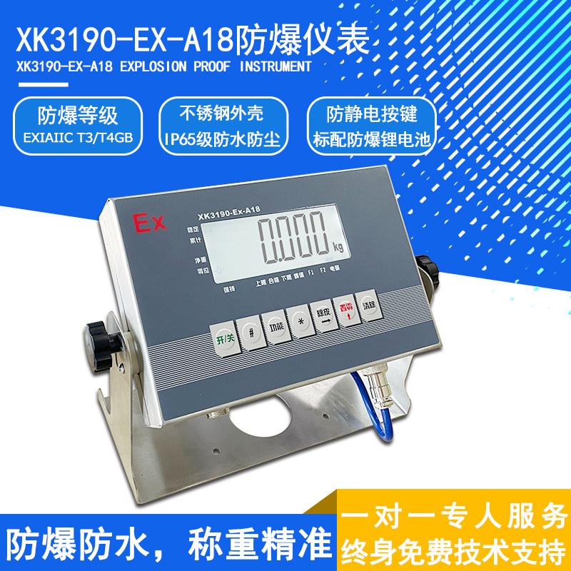 耀华XK3190-Ex-A18本安型防爆秤防爆台秤电子秤防爆称重系统地磅