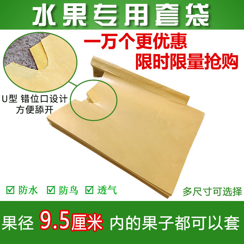 桃子袋水果套袋黄桃水蜜桃袋育果袋专用套袋防雨防虫防鸟柑橘套袋