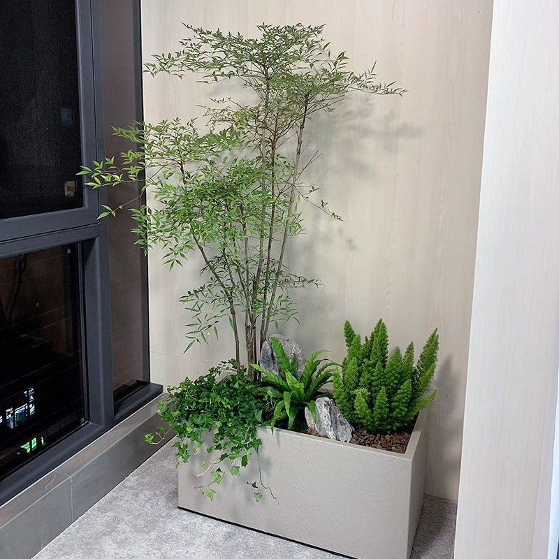 室内观叶植物组合 门面绿化大型盆栽 适合新手的微景观设计