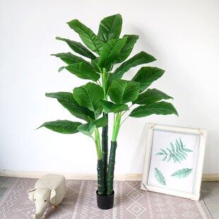 假树芭蕉叶散尾葵白马王子仿真树室内大型盆景装饰落地植物摆件