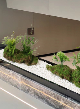 仿真绿色植物假苔藓造景室内微景观布置橱窗花槽隔断装饰落地植物
