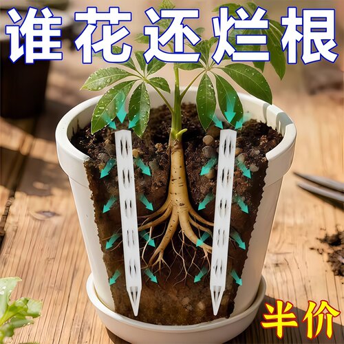 花盆盆土通气管透明防闷根