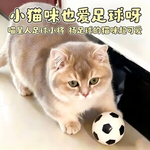 猫狗乳胶弹力球耐咬自嗨逗猫