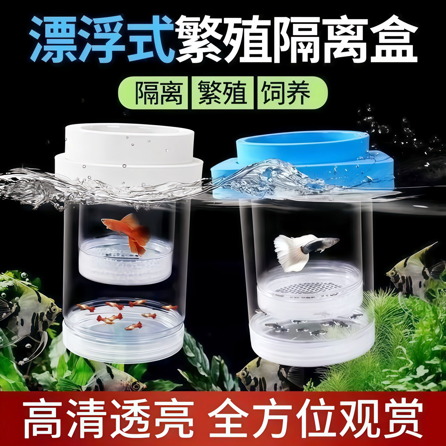 鱼缸隔离盒孔雀鱼繁殖盒凤尾斑马母鱼产房小鱼缸内胎生鱼产卵孵化