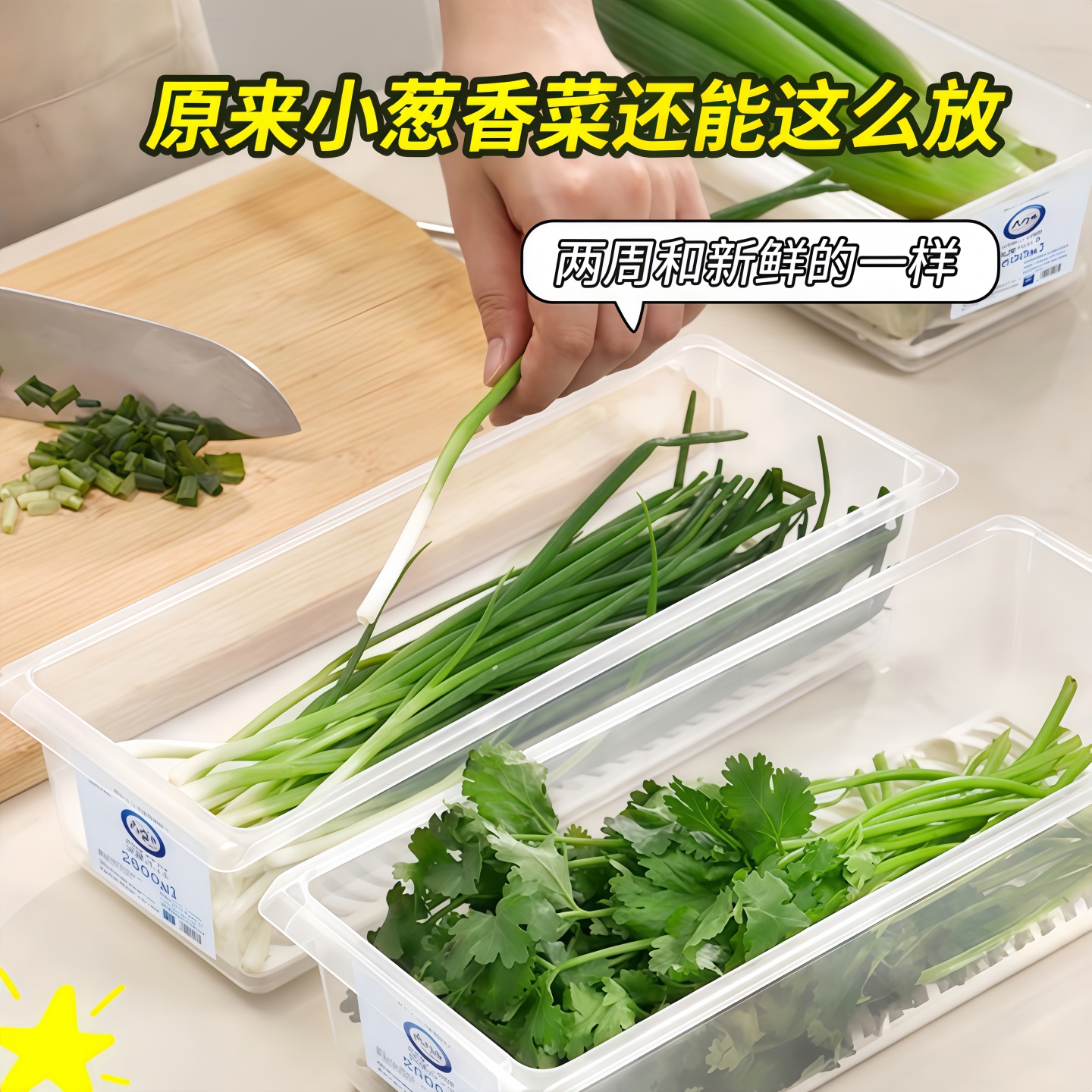 保鲜盒食品级大葱香菜芫荽整根
