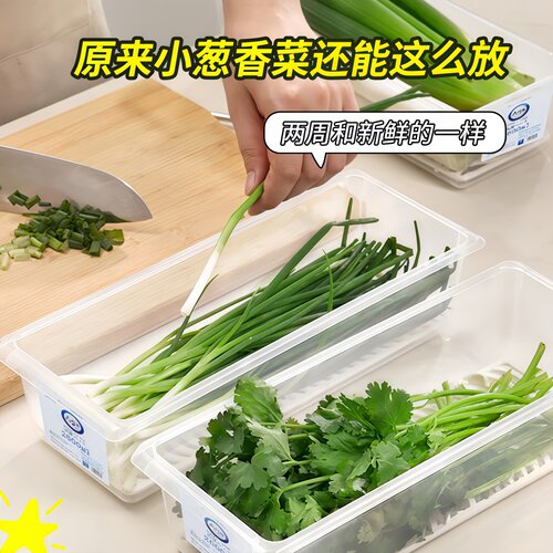 保鲜盒食品级大葱香菜芫荽整根