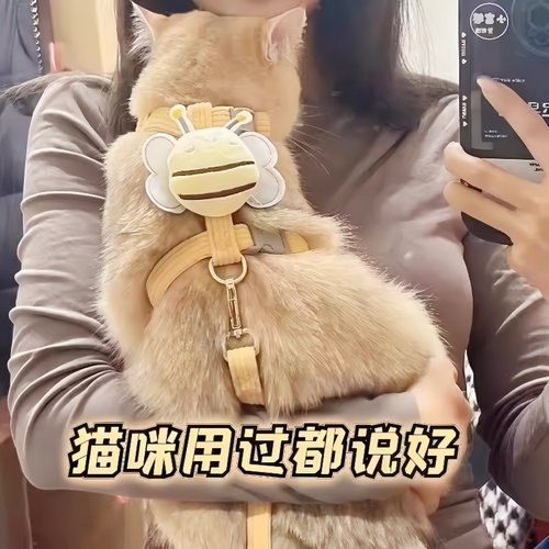 猫咪牵引绳外出防挣脱可调节链子