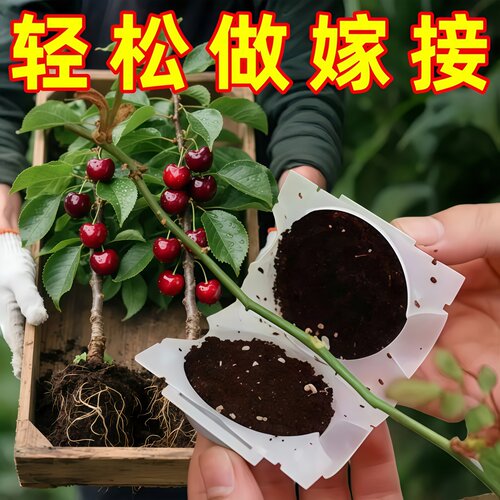 植物高压繁殖球扦插嫁接生根盒