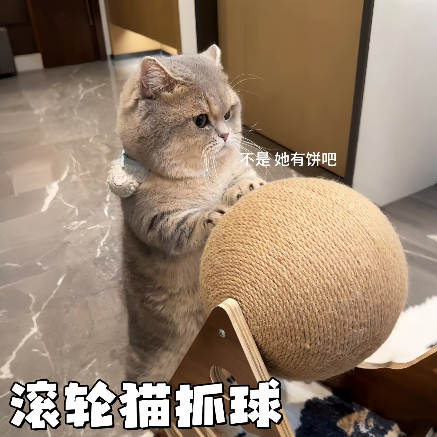 猫玩具耐磨猫抓球猫咪猫爪板立式剑麻球猫抓板猫爬架自嗨逗猫棒