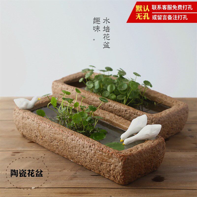 无孔水培铜钱草花盆瓷花盆室内桌面盆栽花卉盆栽石槽花盆铜钱草