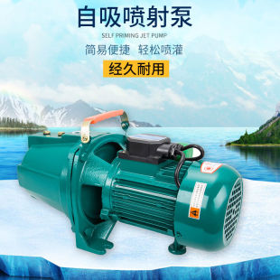 凌霄款 抽井水家用抽水泵 JET自吸清水喷射大头泵 家用增压泵