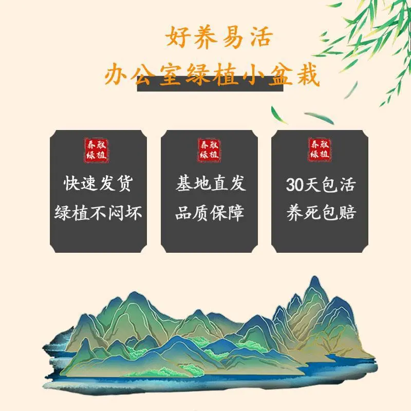 正宗小叶赤楠楠室内办公室小叶紫檀盆景桌面植物